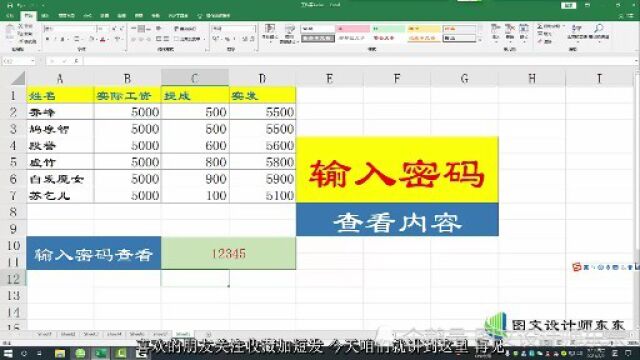 Excel,输入密码,查看工资内容