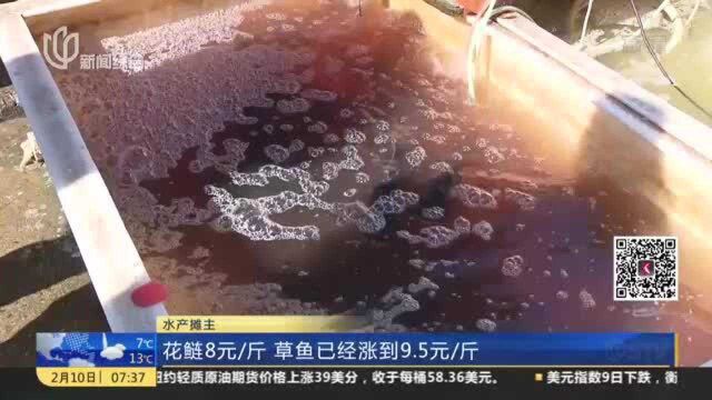 上海嘉燕水产批发市场:河鲜货源充足 价格略涨