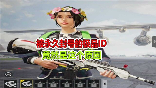 和平精英:盘点吃鸡中哪些 被永久封号的极品id