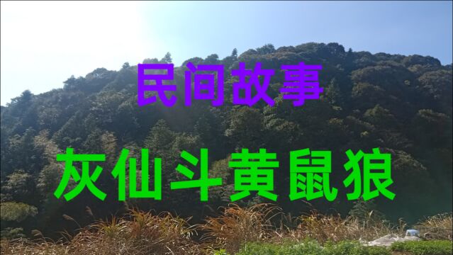 民间故事《灰仙斗黄鼠狼》在东北很多人家里都供奉着仙家