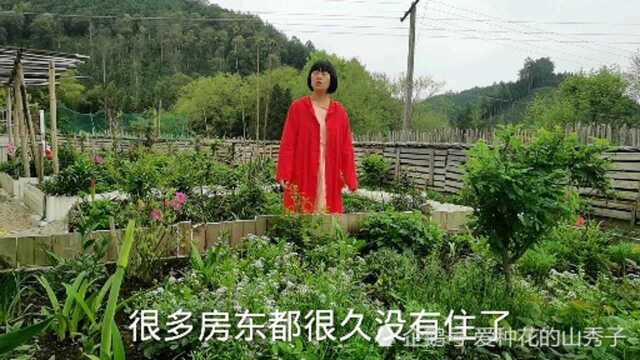 城市人在农村租房养老可行吗,山秀子解答医疗、交通、网络等问题