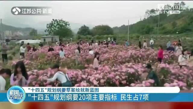 “十四五”规划纲要20项主要指标 民生占7项