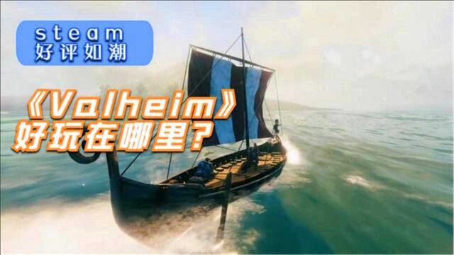 在Steam上好评如潮,《Valheim》到底好玩在哪里?