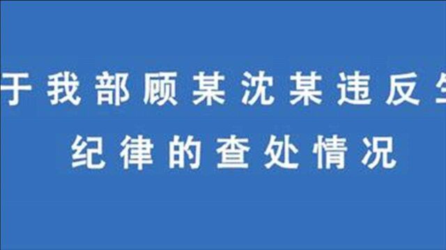 东部战区陆军通报“顾某沈某违反生活纪律查处情况”:处分,调岗