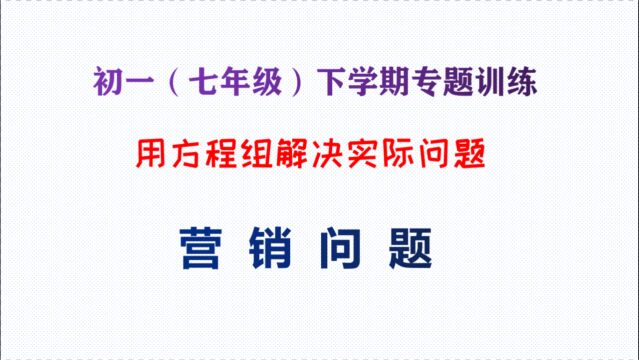 初一数学专题训练,方程组解应用题,营销问题