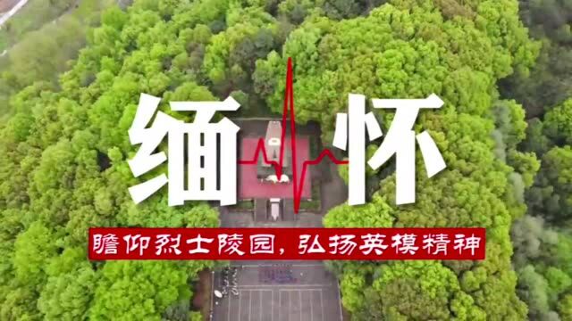 芜湖市镜湖交警瞻仰烈士陵园 传承英模精神