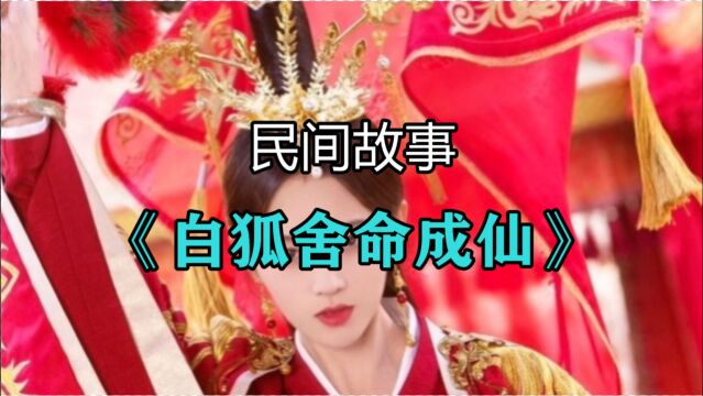 民间故事《白狐舍命成仙》张老汉三十岁才得一个儿子