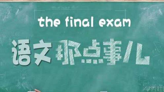 小学语文成绩如何更进一步?班主任:关注阅读,每天这样学稳第一