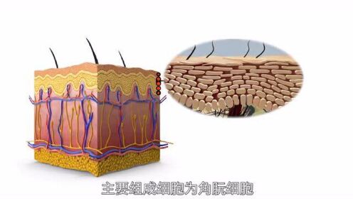 护肤品线上线下营销论文摘要
