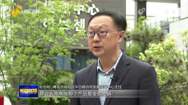 青岛搭建日韩经贸合作平台 构建对外开放新格局