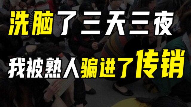 关于我差点成为江浙沪传销头子的故事【沈帅波】