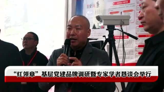 “红领章”基层党建品牌调研暨专家学者恳谈会举行