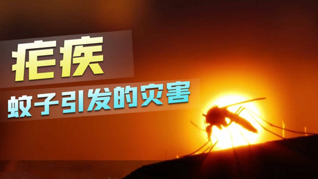 人类的“疟恋”,竟与小小的蚊子有关!