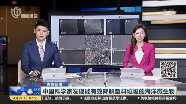 中国科学家发现能有效降解塑料垃圾的海洋微生物