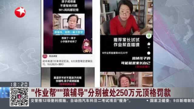 “作业帮”“猿辅导”分别被处250万元顶格罚款