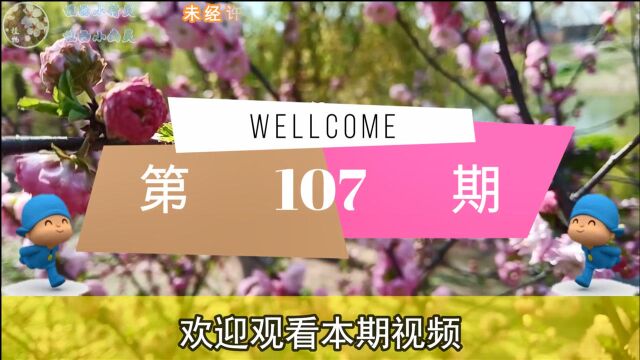 小科普 | 第107期 今天我们就来认识一下卖得老贵的车厘子