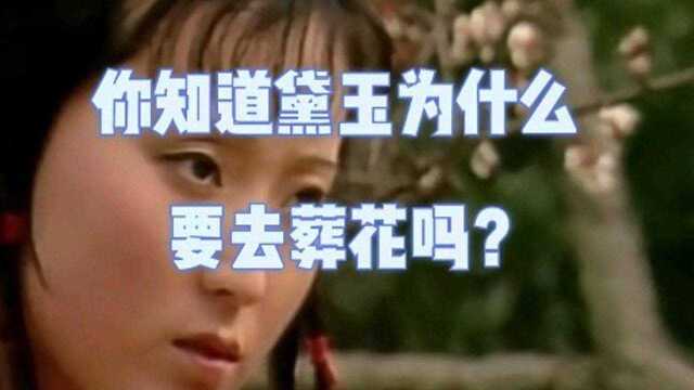 你知道黛玉葬花的背后有什么深意吗?难道她真的在无病呻吟?