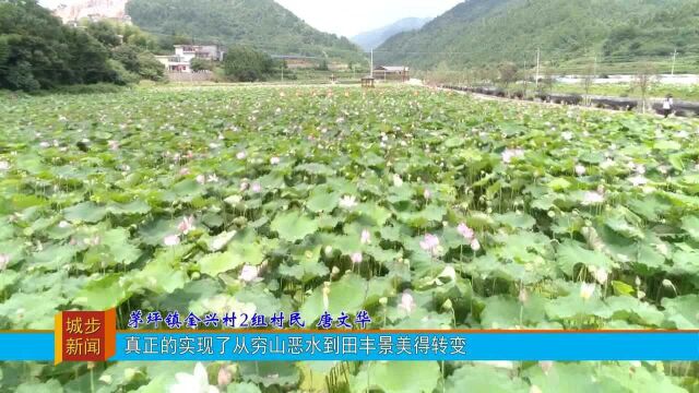 党史照耀新征程|走进茅坪镇金兴村:从“穷山臭水”到“田丰景美”