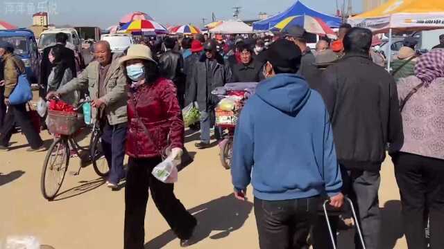 河北大集烟丝价格惊人,现在有钱人都买这烟丝吗?真的是令人吃惊.