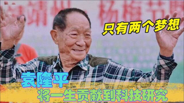 袁隆平一生贡献有多大?把一生贡献给人民研究从未停下,太伟大了