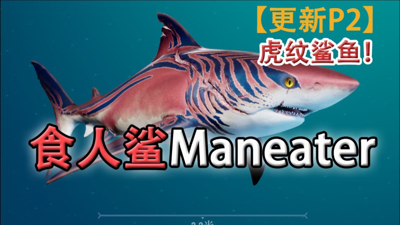 嗨氏《食人鲨Maneater》:02进化虎纹鲨鱼!