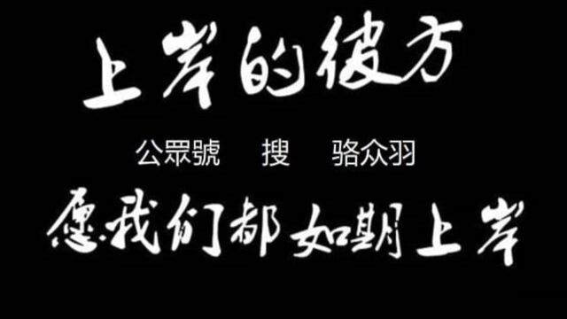 多年ag真人实战经验,总结路单心得技巧,教你如何运用打法