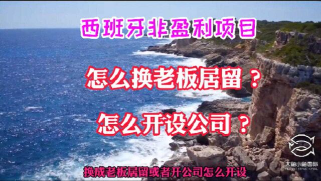 小鱼说移民第30期:西班牙非盈利居留怎么换老板居留?西班牙开设公司的细节和流程!