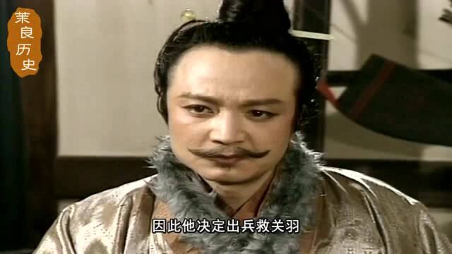 关羽说刘封是螟蛉之子,导致刘封不救关羽,什么“螟蛉之子”?