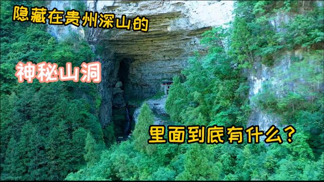 贵州大山发现一巨大山洞,整个洞体镶嵌在峭壁,里面到底有什么?