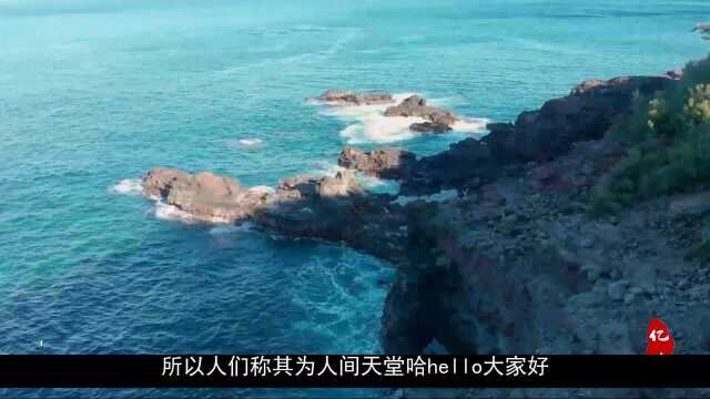 东沙岛距离台湾原来这么近,岛小还建有机场,环境真的太棒了