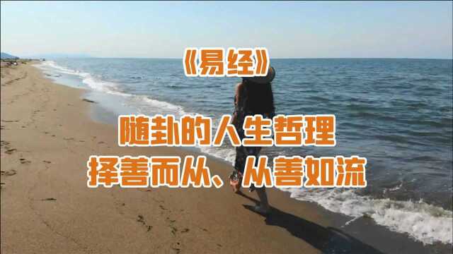 《易经》随卦的人生哲理:择善而从,从善如流!#知识抢先知#