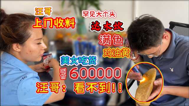 罕见大马坎满色鸡油黄!美女吃货叫价600000,汪哥:看不到!