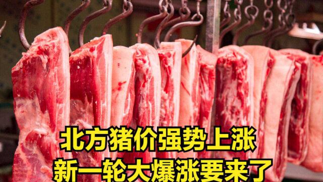 今日猪肉价格行情:北方猪价强势上涨!新一轮大爆涨要来了?