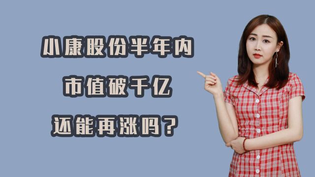 又一家新能源车企新晋千亿市值,小康股份靠什么上涨454%?