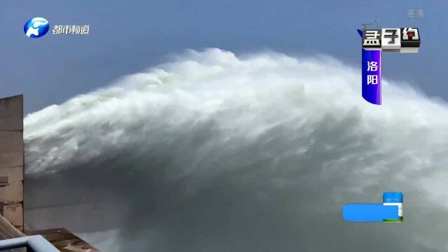 震撼!黄河小浪底泄洪,如白色巨龙奔腾而出,气势澎湃太壮观!