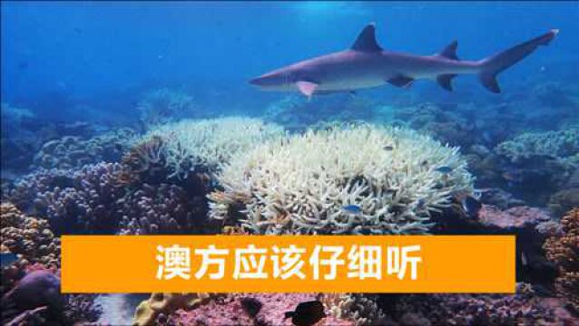 联合国将在中国审议大堡礁保护状况,澳方拒绝评估,中方严正驳斥