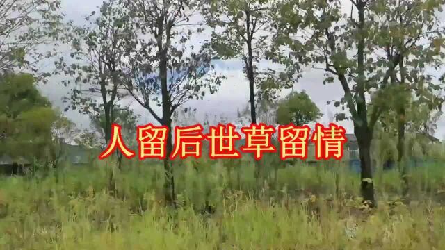 云南山歌《人留后世草留情》经典山歌对唱,唱山歌