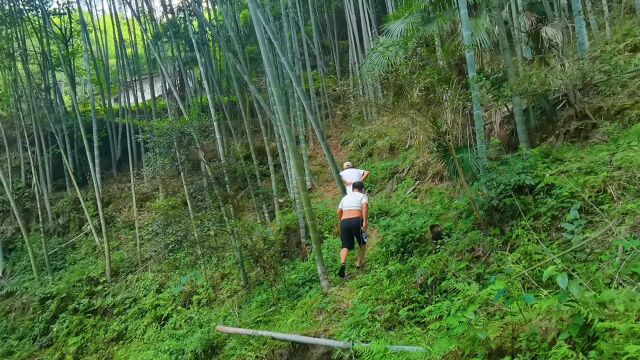 武功山:沿着羊肠古道来到海拔1200米处白云深处,惊现隐居人家还有清朝九品官墓