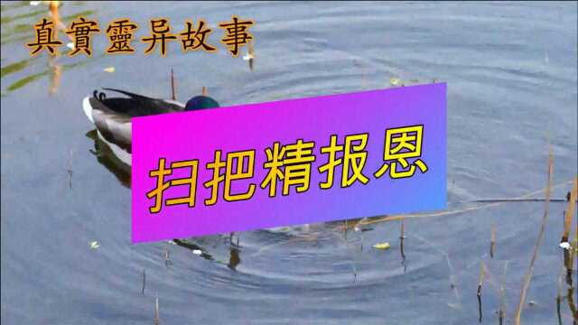 真实灵异故事,扫把精报恩,民间灵异鬼故事