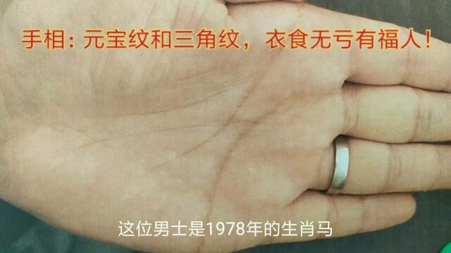 手相:元宝纹和三角纹均有,衣食无亏有福人!(78)