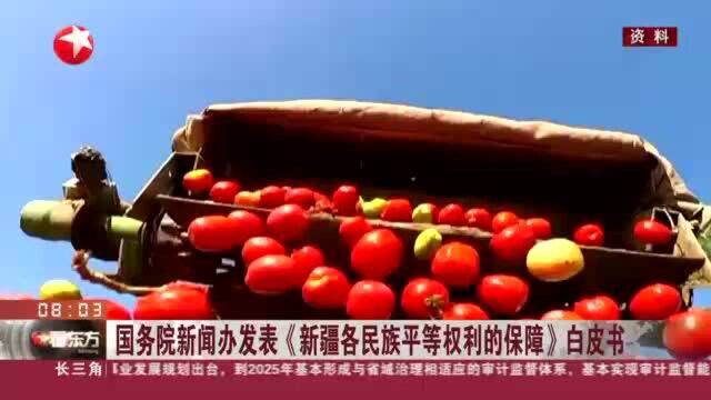 国务院新闻办发表《新疆各民族平等权利的保障》白皮书