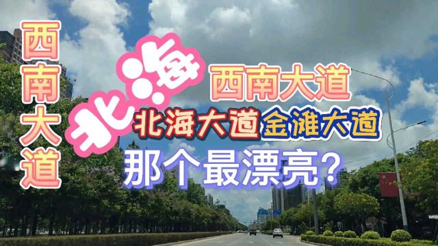 网友强烈推荐去拍北海大道,网友走了三条代表性性道路,北海最美道路应该给谁?