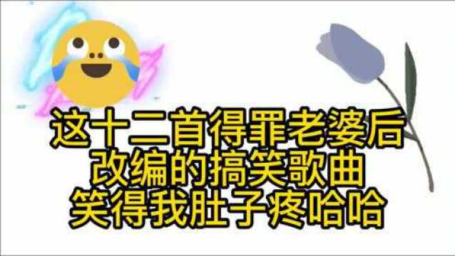 十二首搞笑改编歪歌, 看看得罪老婆后的改编歌曲?每一首都金典!