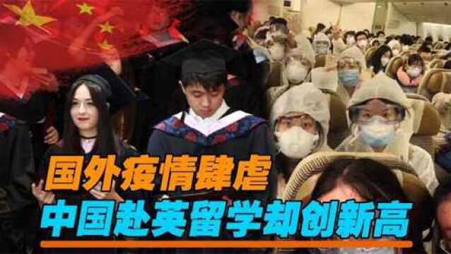 国外疫情肆虐,中国赴英留学却创新高,哪些问题需要深思?