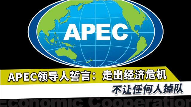 确保亚太所有人走出经济危机不掉队,APEC誓言,事关29亿人福祉