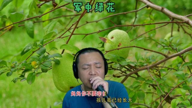 妈妈你不要牵挂,孩儿我已经长大,军旅歌曲《军中绿花》