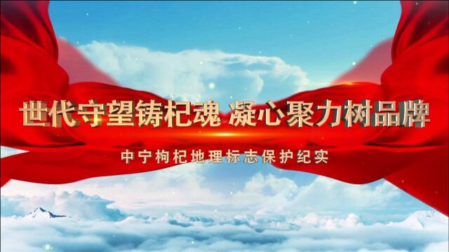 世代守望铸杞魂 凝心聚力树品牌——中宁枸杞地理标志保护纪实