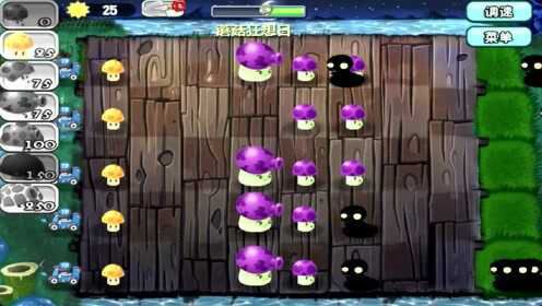 植物大战僵尸:蘑菇狂想日