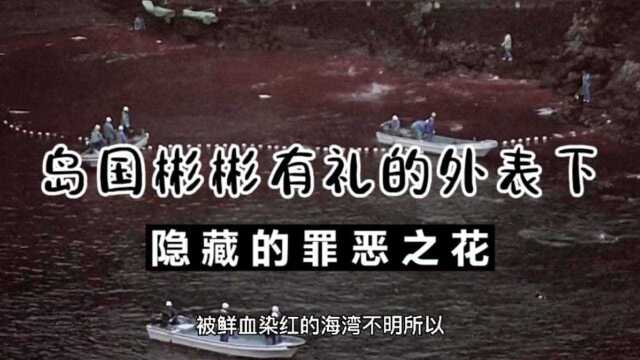 岛国彬彬有礼的外表下,隐藏的罪恶之花,《海豚湾》下