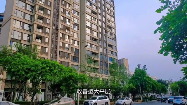 实拍成都武侯区红牌楼片区住宅,雍锦世家,套四售价620万值不值